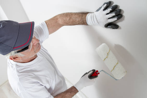 Best Mold Remediation for Healthcare Facilities  in Marmet, WV