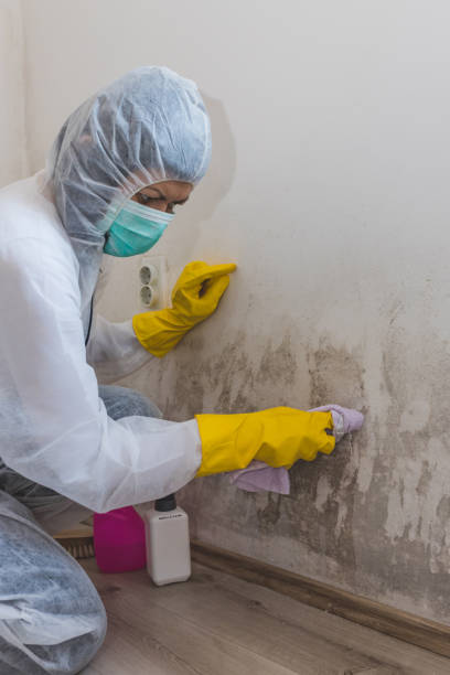 Best Post-Remediation Verification Testing  in Marmet, WV