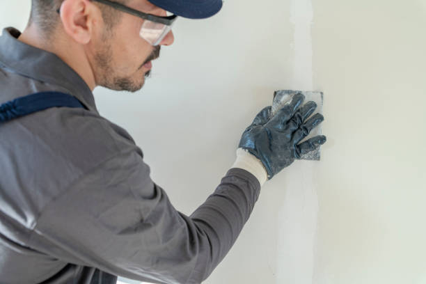 Best Mold Removal for HVAC Installations  in Marmet, WV