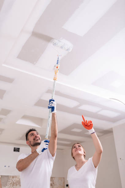 Best Environmental Consulting for Mold Prevention  in Marmet, WV