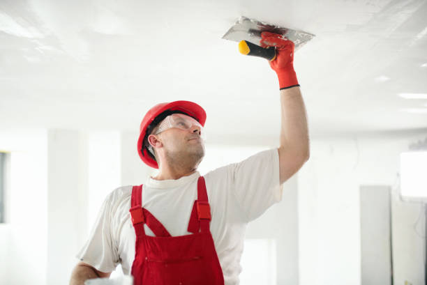 Best Biohazard Mold Removal  in Marmet, WV
