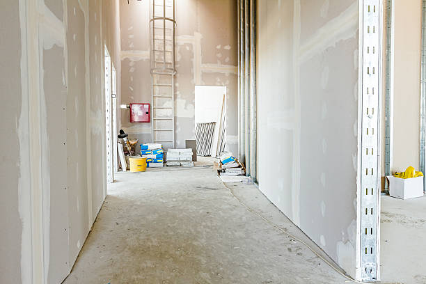 Mold Odor Removal Services in Marmet, WV