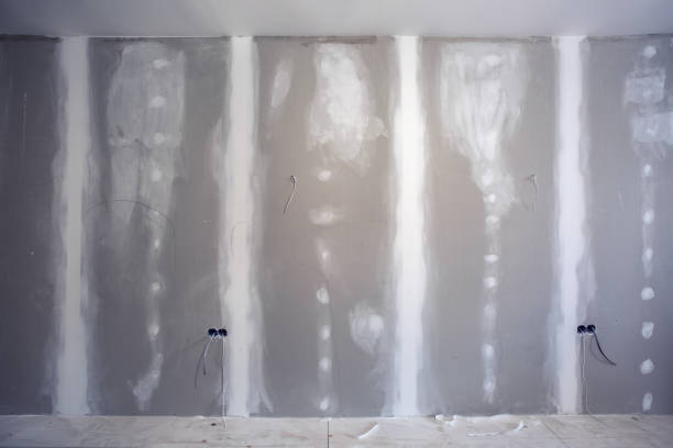 Best Post-Construction Mold Inspection  in Marmet, WV